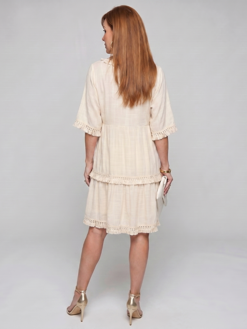 Delia | Embroidered V-Neck Short Sleeve Mini Dress in Beige